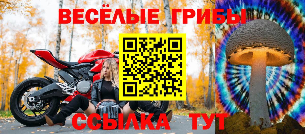 Псилоцибиновые грибы мицелий Истра
