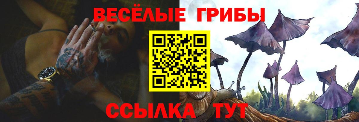 Псилоцибиновые грибы прущие грибы  Вход с VPN  Псилоцибиновые грибы мицелий  Истра 