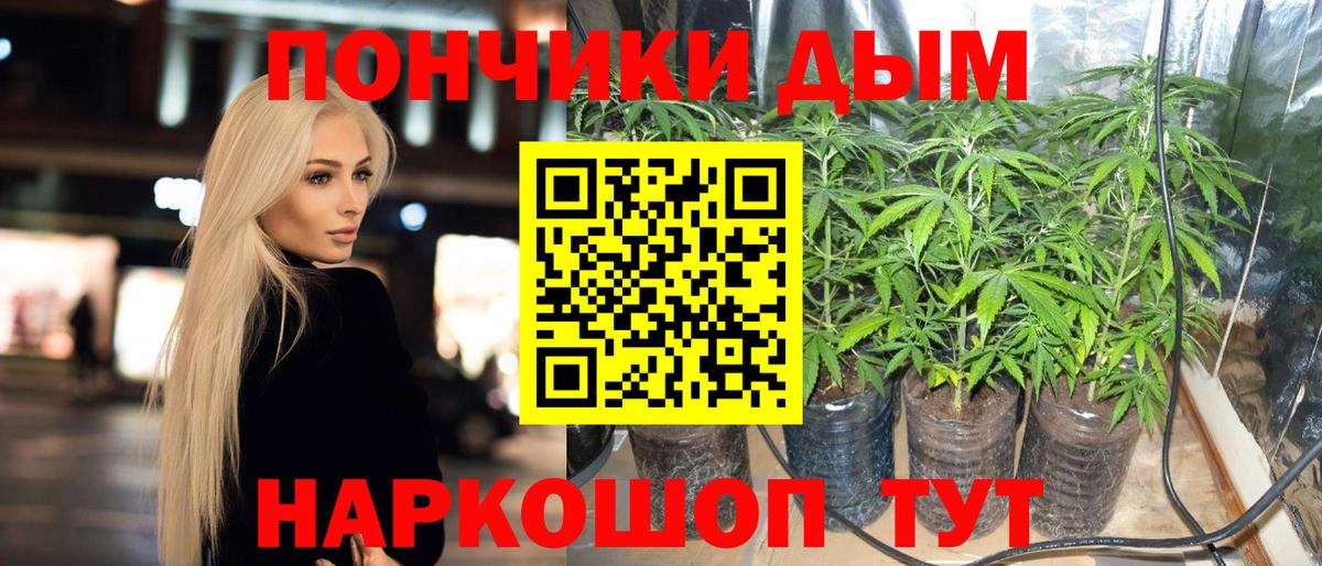 Шишки марихуана марихуана  Шишки марихуана индика  Вход с VPN  Бошки марихуана SATIVA & INDICA  Истра  Марихуана индика 